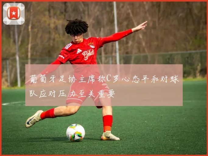葡萄牙足协主席称C罗心态平和对球队应对压力至关重要
